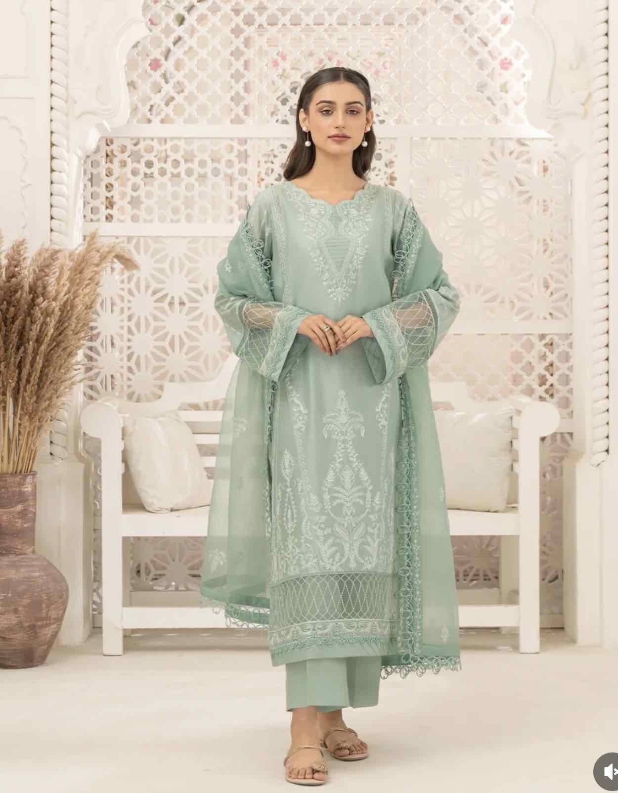 Mint Green Embroidered Organza Suit Set with Sheer Sleeves