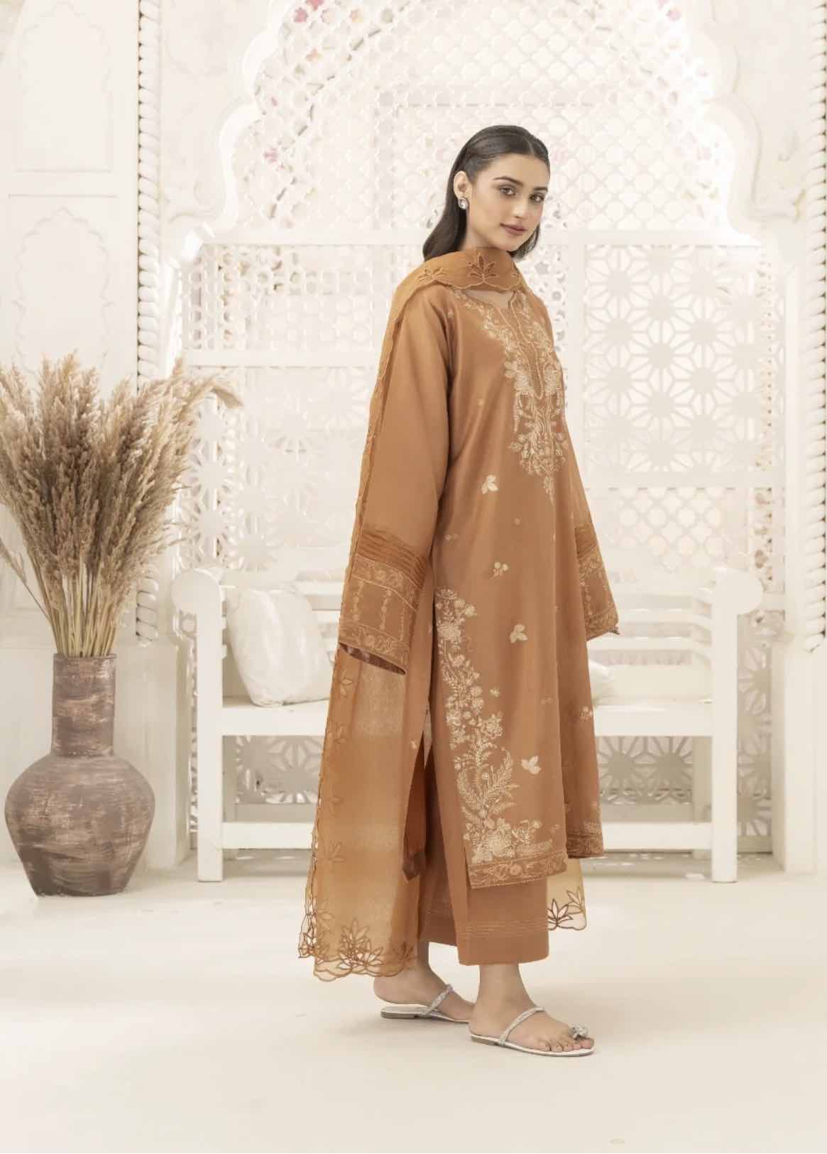 Rust Elegance — Embroidered 3-Piece Ensemble